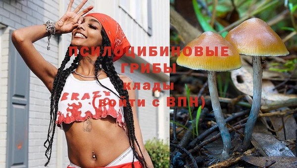трава Беломорск
