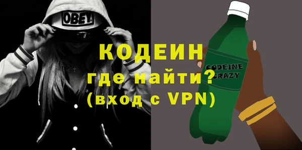 гидра Богородицк