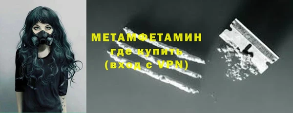 гидра Богородицк