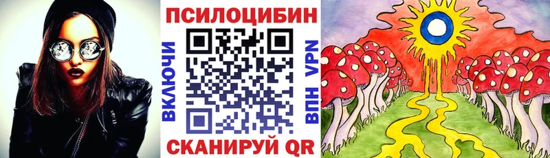 даркнет телеграм  хочу наркоту  Среднеуральск  Галлюциногенные грибы Cubensis 