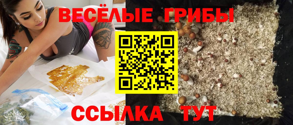 Псилоцибиновые грибы GOLDEN TEACHER Среднеуральск