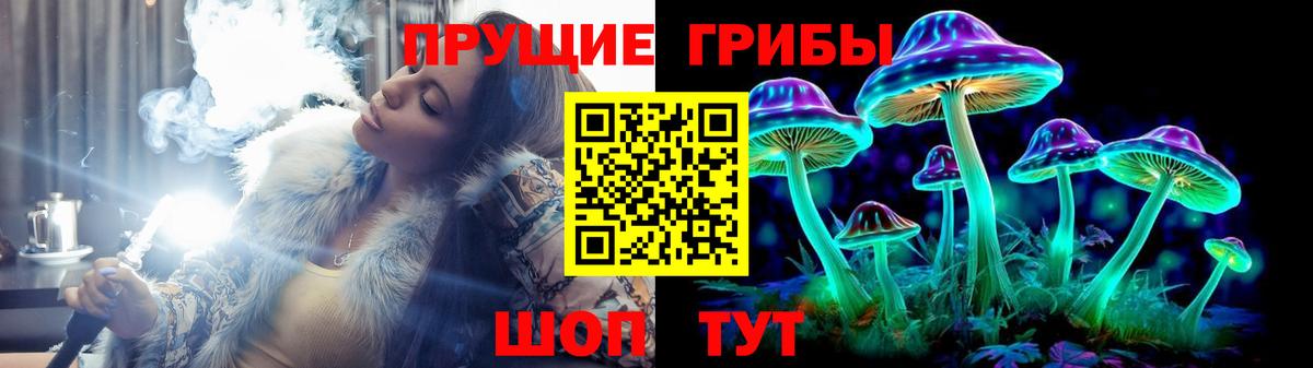 Среднеуральск  Псилоцибиновые грибы MAGIC MUSHROOMS  Вход с VPN 